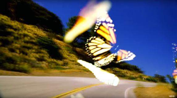 butterfly travis scott musikvideo
