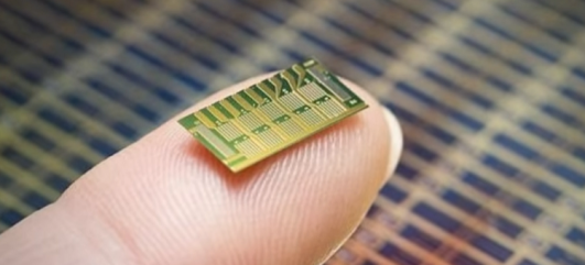 microchip implant